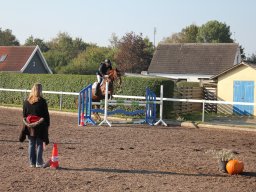 img_0161_web